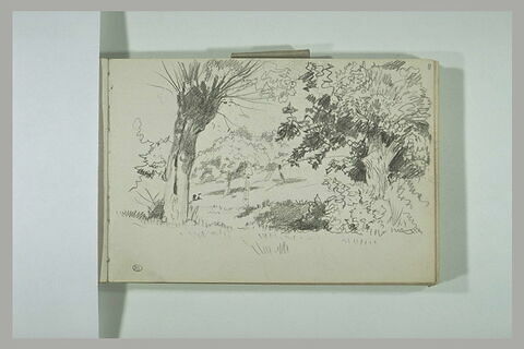 Paysage de campagne bordé par deux arbres, image 2/2