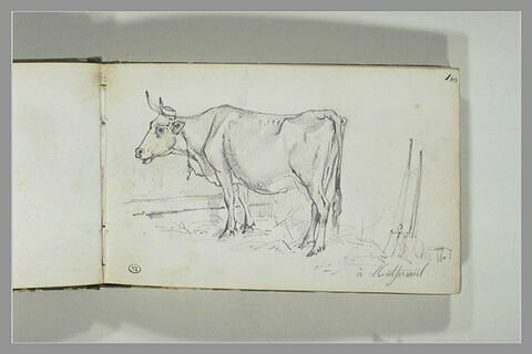 Vache à l'étable, à Montfermeil, image 2/2