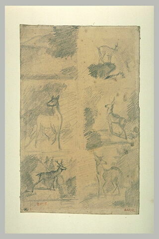 Six croquis de chamois et de cerfs