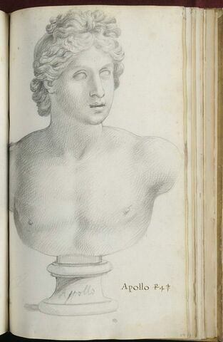 Buste de 'APOLLO', image 2/3