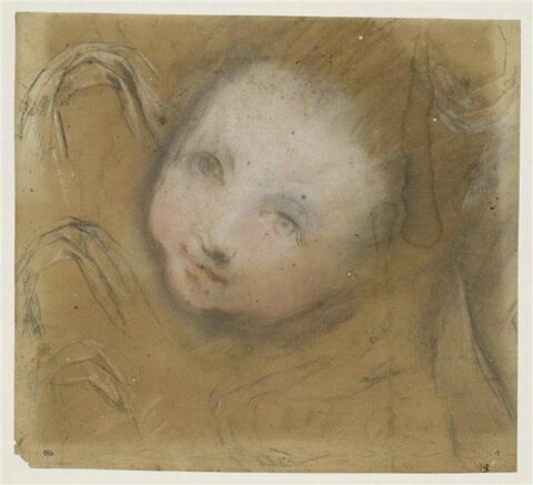 Etude d'une tête d'enfant, vue de face