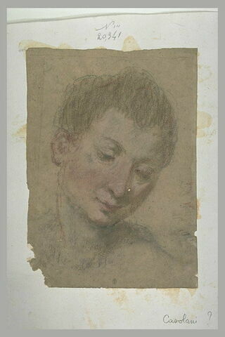 Tête d'un jeune homme, les yeux baissés, image 2/2