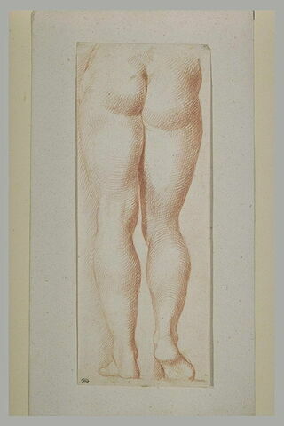 Jambes et fesses d'un homme ou d'une femme, de dos