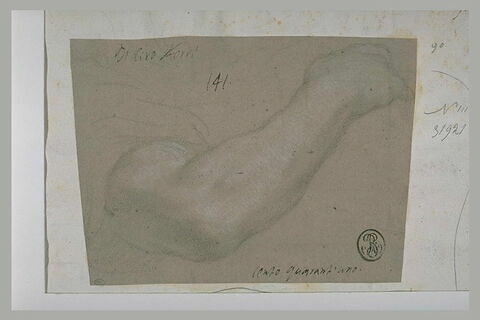 Etude d'un bras nu, image 2/2