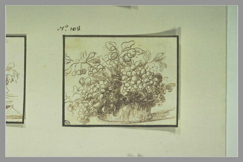 Etude de fruits dans un baquet