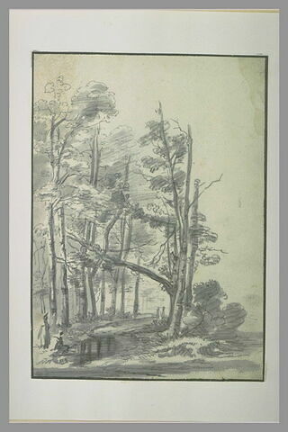 Une mare sous les arbres