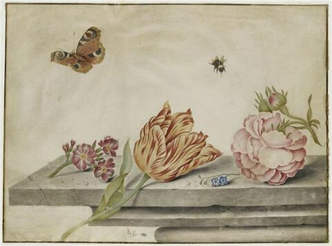 Composition avec insectes et fleurs