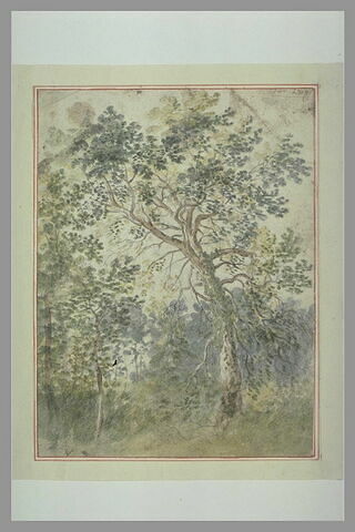 Etude d'arbres