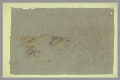 Deux têtes de lion et une patte, image 2/2