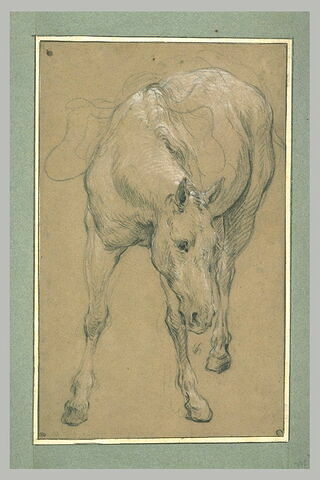 Etude d'un cheval, image 2/2