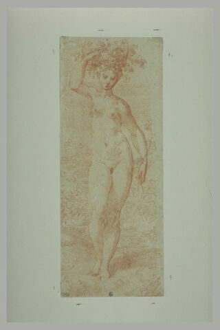 Femme nue, debout, portant une corbeille de fleurs sur la tête, image 2/2