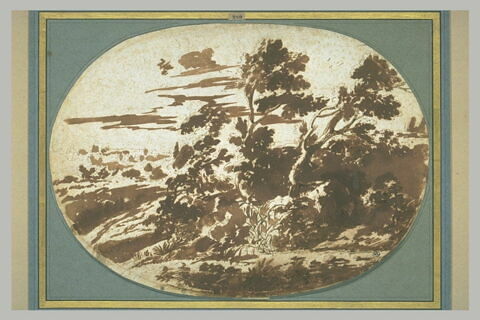 Paysage avec des arbres inclinés vers la droite par le vent, image 3/3