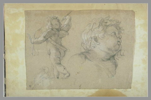 Tête de putto levée de trois quarts ; Putto vu de dos, de trois quarts..., image 2/2