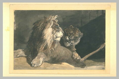 Lion et lionne