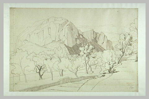 Champs plantés d'arbres et séparés par un mur ; au fond, montagne rocheuse, image 2/2