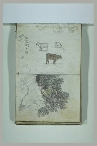 Figures ; vaches ; étude d'arbres