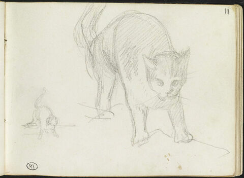 Croquis de deux chats