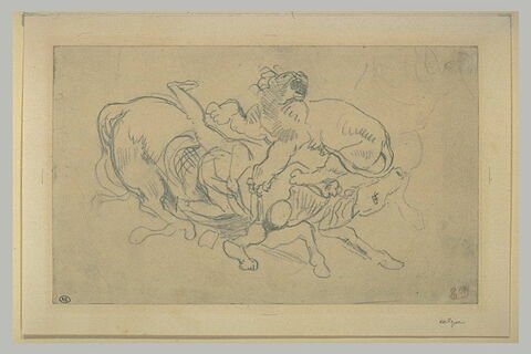 Lion attaquant un cheval et son cavalier, image 2/2