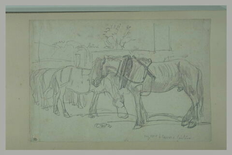 Chevaux de trait, dont l'un muni d'une musette