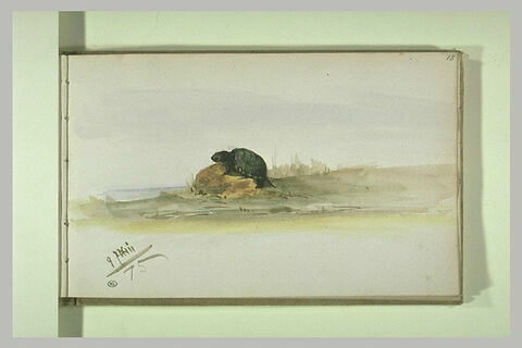 Tortue sur un monticule, dans un paysage, image 2/2