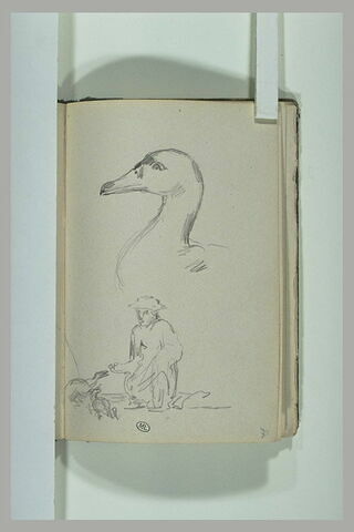 Tête de canard ; figure nourrissant des canards