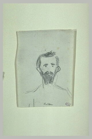 Tête d'homme barbu, de face:Helleu