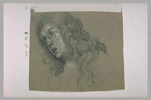 Tête de femme les yeux levés, tournée vers la gauche, image 2/2