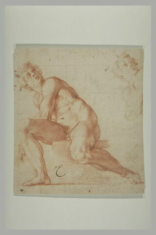 Ignudo