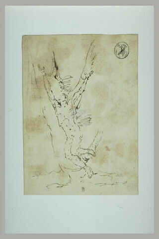 Etude pour un homme attaché à un arbre, image 2/2