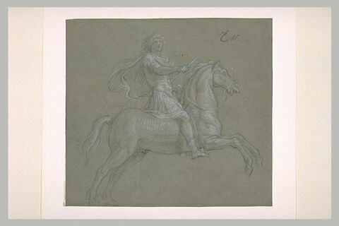 Louis XIV à cheval, image 2/2