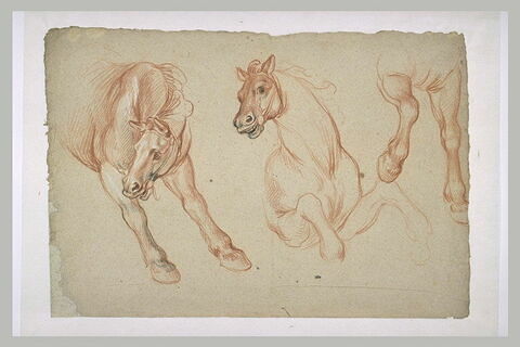 Etudes partielles de trois chevaux