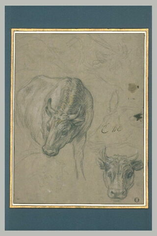 Quatre boeufs, un mouton, image 2/2