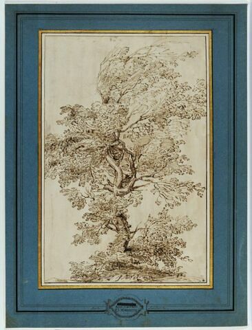 Etude d'arbre, image 2/3