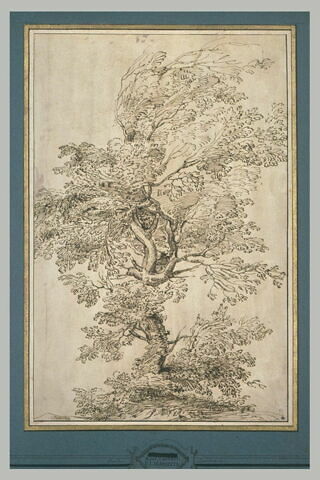 Etude d'arbre, image 3/3