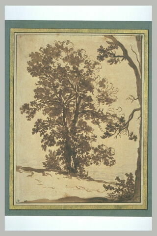 Etude de paysage : étude d'arbres, image 2/2