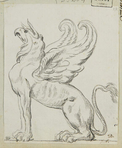 Griffon