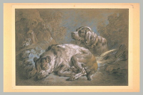 Deux chiens, image 2/2