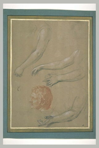 Tête d'homme. Bras et mains, image 2/2