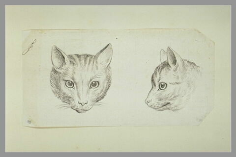 Deux têtes de chat, image 3/4