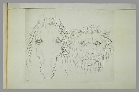 Une tête de cheval et une tête de lion, image 2/2