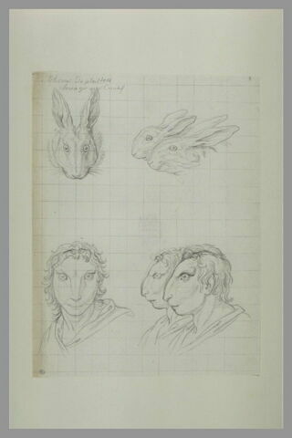 Deux têtes de lièvre, une tête de lapin et trois têtes d'hommes, image 2/2