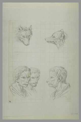 Deux têtes de loups et trois têtes d'hommes en relation avec le loup, image 2/2