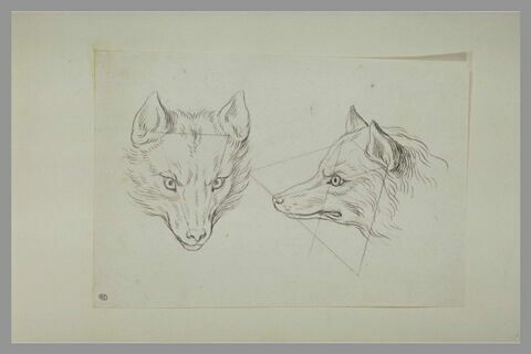 Deux têtes de loup, l'une de face et l'autre de profil, image 2/2