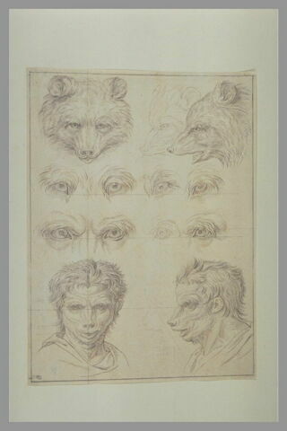 Huit yeux d'ours, trois têtes d'ours et deux têtes d'hommes leur ressemblant, image 2/2