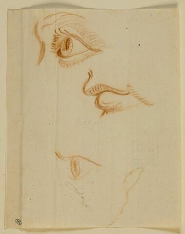 Etude d'yeux et de bouche