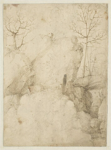 Paysage de bois et de roches