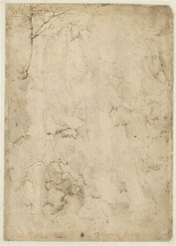 Paysage de roche