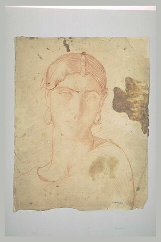 Tête de jeune femme, vue de face : Marie l'Egyptienne