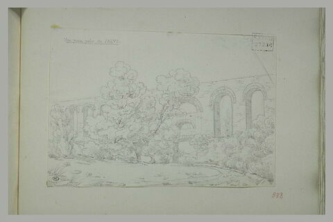 Environs de Calvi : aqueduc parmi des arbres