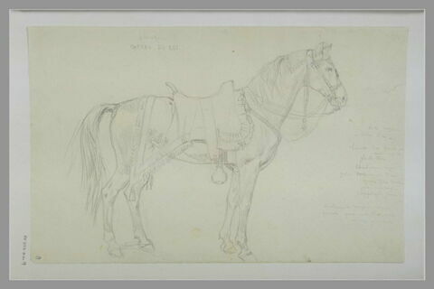 Omar, cheval du roi, image 2/2